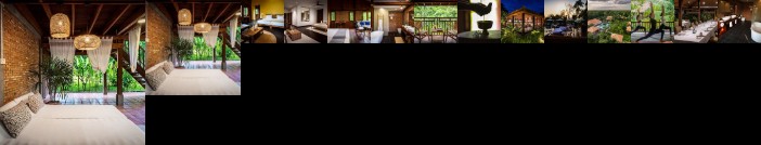 Farmhouse Smiling Gecko