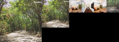 Cozy Studio in the Jungle