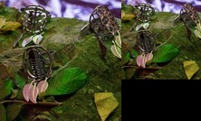 Entre Nosotros Mendoza