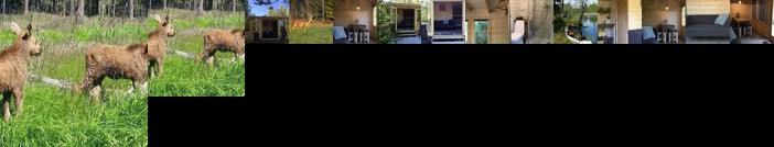 Cozy Lodge near Brattforsheden nature reserve