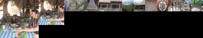 Hospedaje wounaan indigena