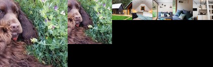 Valhalla puhkemaja Hiiumaal