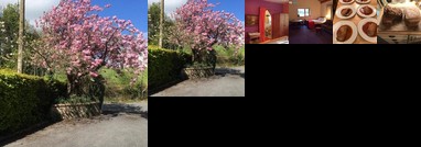 Anglers Lodge Killeshandra