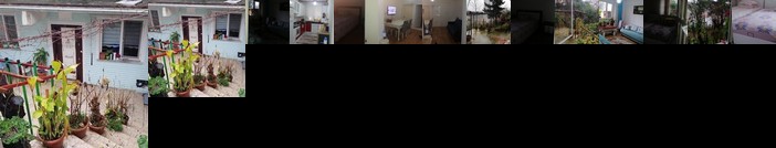 Nuhun Gemisi Liveasist Haber Odasi