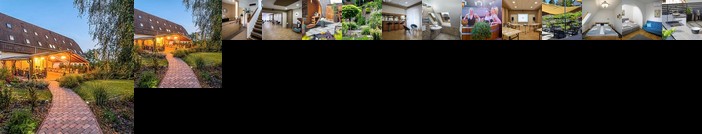 Arnyas Panzio Goedoello