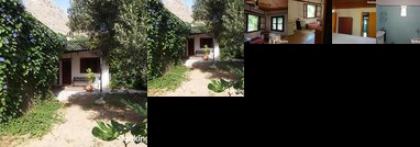 Le jardin du peintre