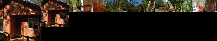 Chucao Bosque y Cabanas