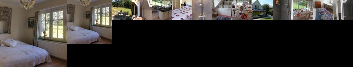 Hirondelles Waterloo