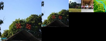 Muong Lo Corner - a homely place on the way to Mu Cang Chai