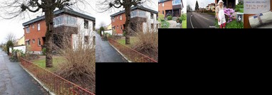 Familjaert boende naera naturen