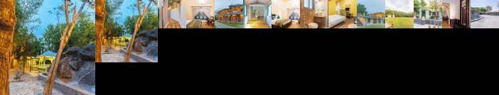 Banjara hills jungle lodge