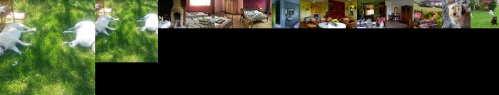 Dom goscinny Lerka wsrod brodnickich jezior i lasow