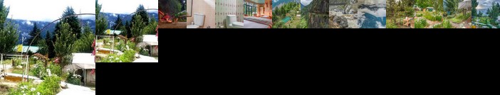 The Monk by Livingstone