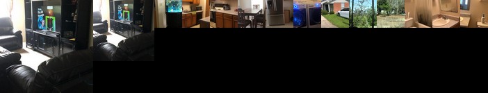 Dream in the beach 2