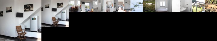 Tenuta sul Vesuvio Il Vigneto