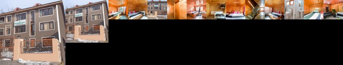 Capital O 66228 Hotel Sheeshnag