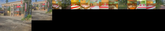 OYO 46827 Resort Heaven Inn