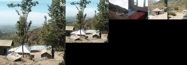 Shepherd Huts Camping