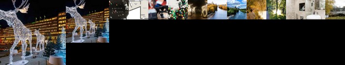 Fluffy Dog in Central Luxury Apartment