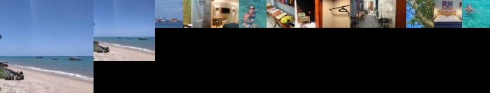 Antheia Ponta do Seixas