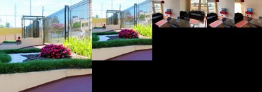 Cwb204- Charmosinho Curitibano