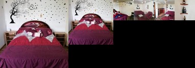 Cozy and confortable mini apartment near downtown