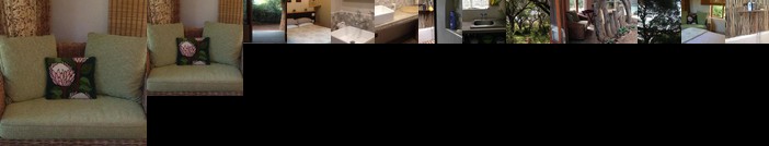 Lebombo Wattle Forrest