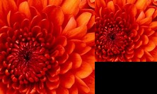 Recamara Independiente con bano y cocineta propio