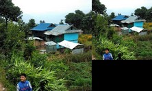Nangin organic farm and homestay