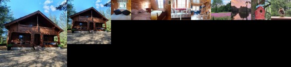 Forest Lodge Log Cabin - Ireland