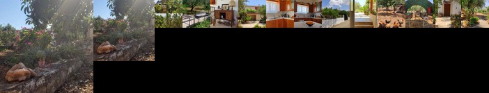 Cretan Rural Living in Olive Grove Cottage 2L