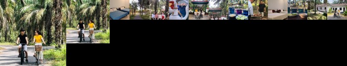 Palm Garden House Dong Ha