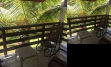 Tranquility and peace in a green tropical oasis