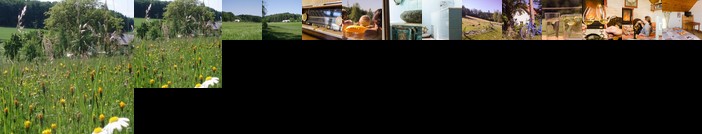 Chaloupka U sv Dyndy