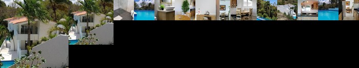 Sweet Caribbean Mango