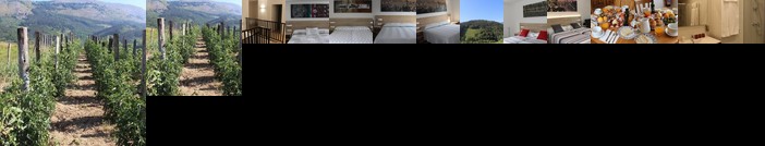 Balentziaga Azkoitia