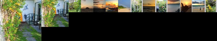 Aloha All The Way to the Beach