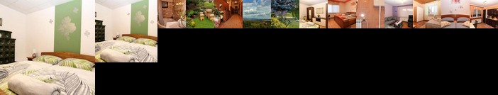 Apartment Arcadia Ribnik