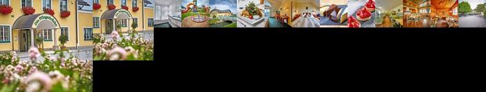 Hotel Die Pflegerbruecke