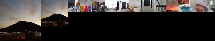 Tortugas La Casa De Joaquin