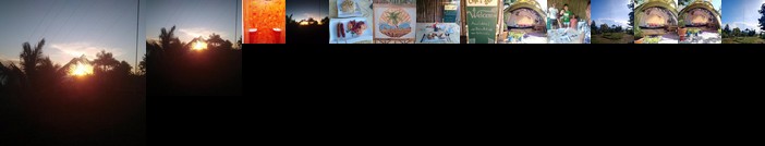 Cha's Paraiso verde de Lazi