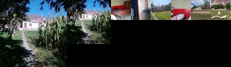 La estrella familiar