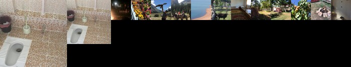 Eco House Summer Garden