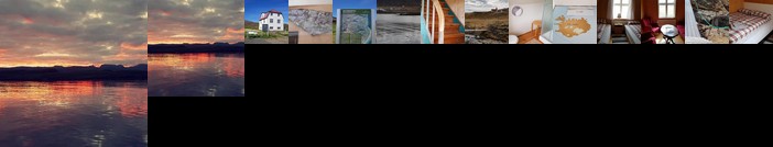 Brjanslaekur Gamli baerinn