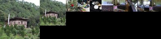 Mendrelgang Homestay