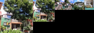 El Gato Azul Valverde