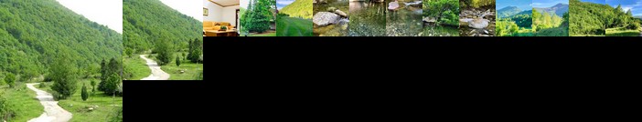 Villa ORKA Pelister - Forest Zone