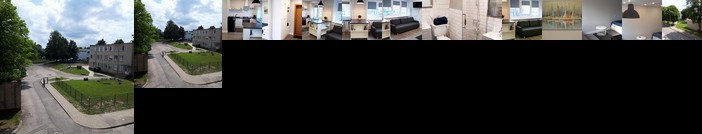 Alytus Ziburio studio