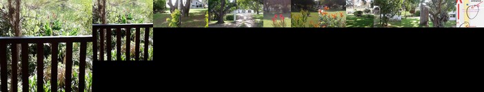 Woodpecker Plettenberg Bay