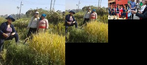 Kipu De Newa Homestay